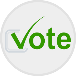 Button (like a lapel button) with green Vote, the v is a check mark in a box. 