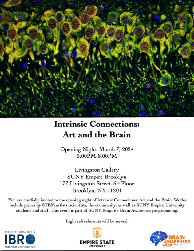 Flyer displaying imaged neurons on the top and information for an art exhibit hosted at the Livingston Gallery on March 5, 2024.