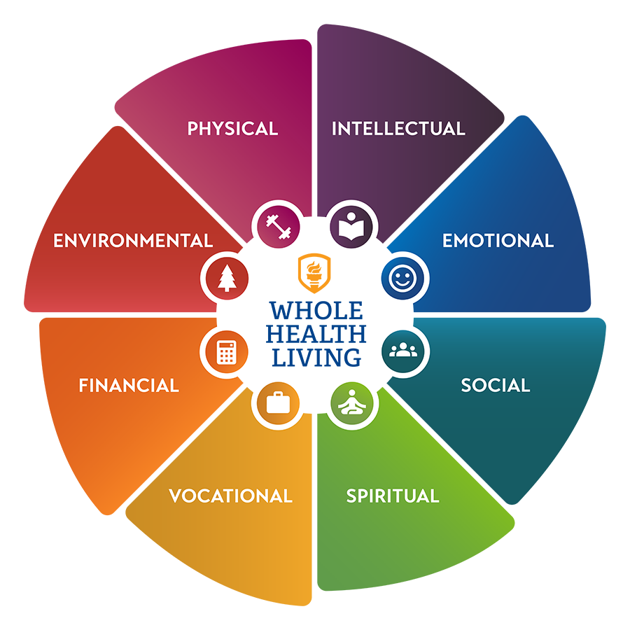 Image of a health wheel displaying information about different health categories.